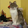 Отзыв от Кира Антипова